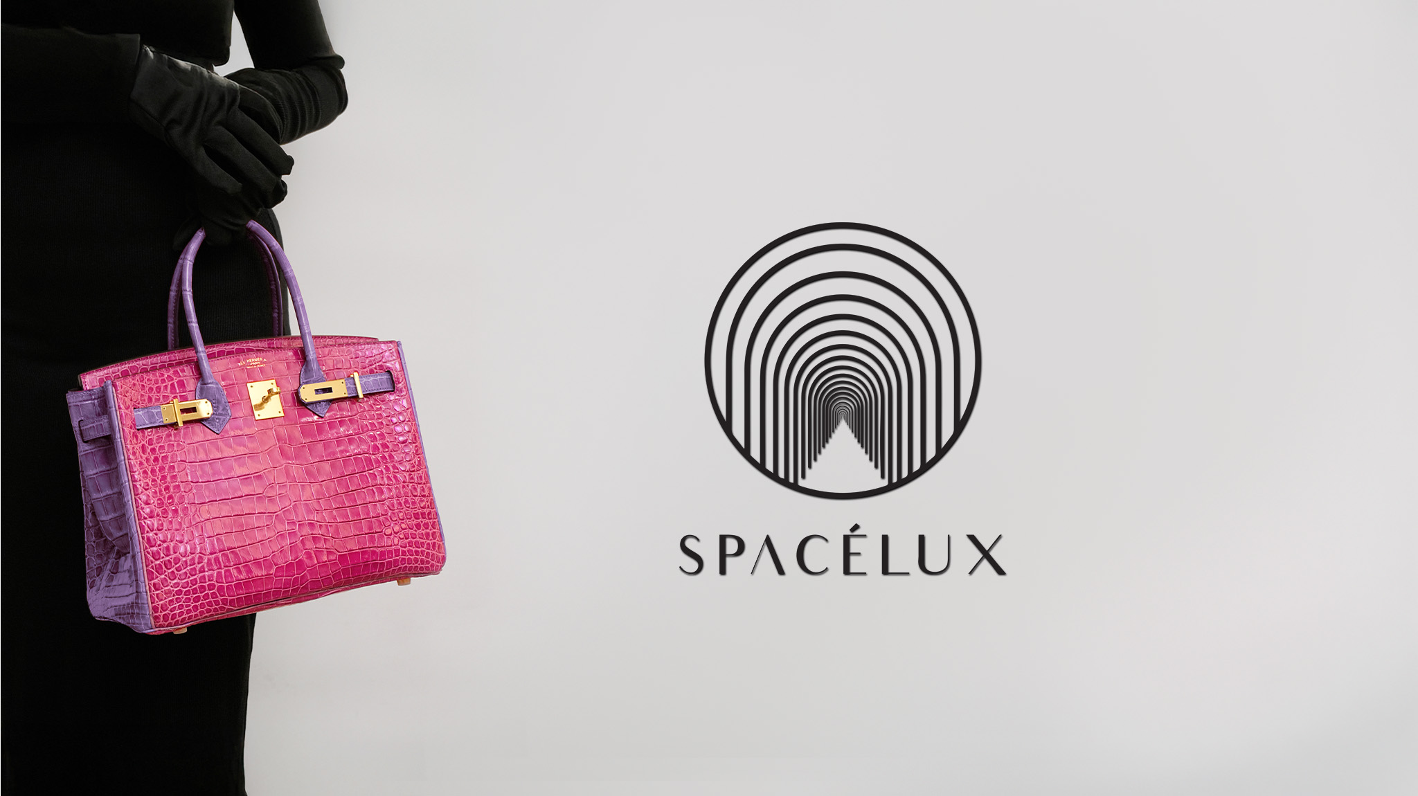 Spacelux Landing Page 2