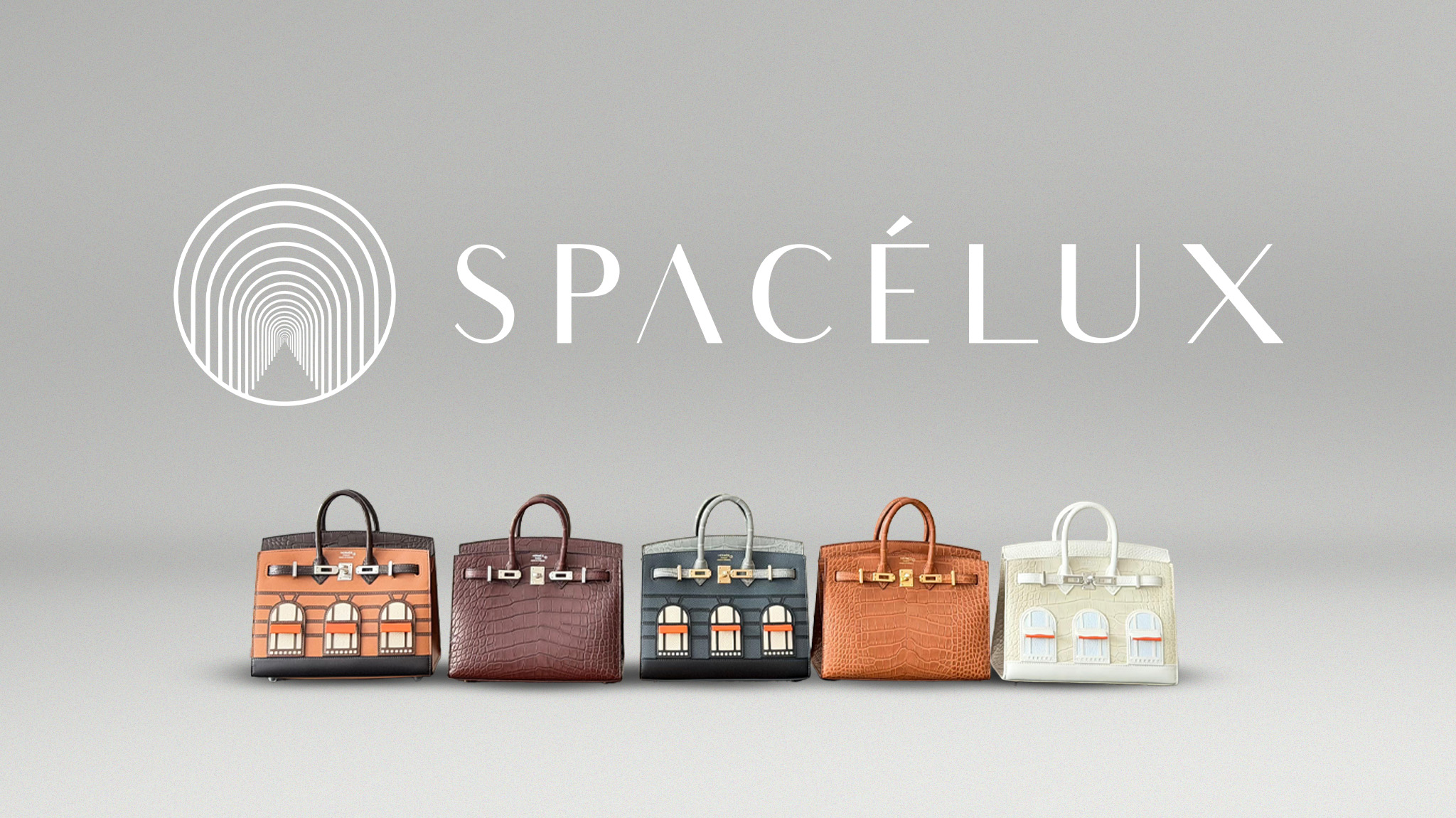 Spacelux Landing Page 3